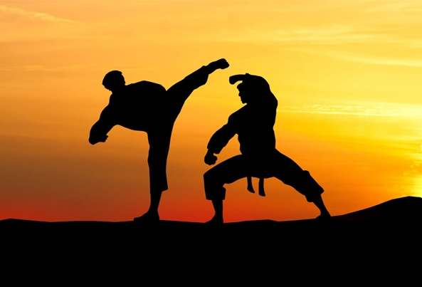 ציוד מיגון לאומנויות לחימה